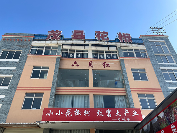乡村振兴看阿坝｜茂县发展花椒产业 助力高半山乡村振兴_fororder_茂县六月红花椒专业合作社-供图-中共阿坝州委网信办1