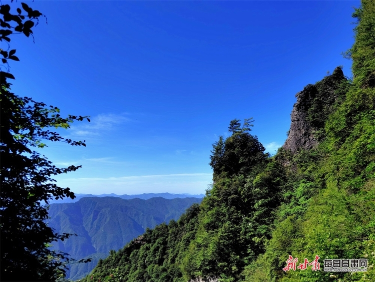 【焦点图】集华山之险和庐山之秀于一身 康县龙王山你去过吗_fororder_8