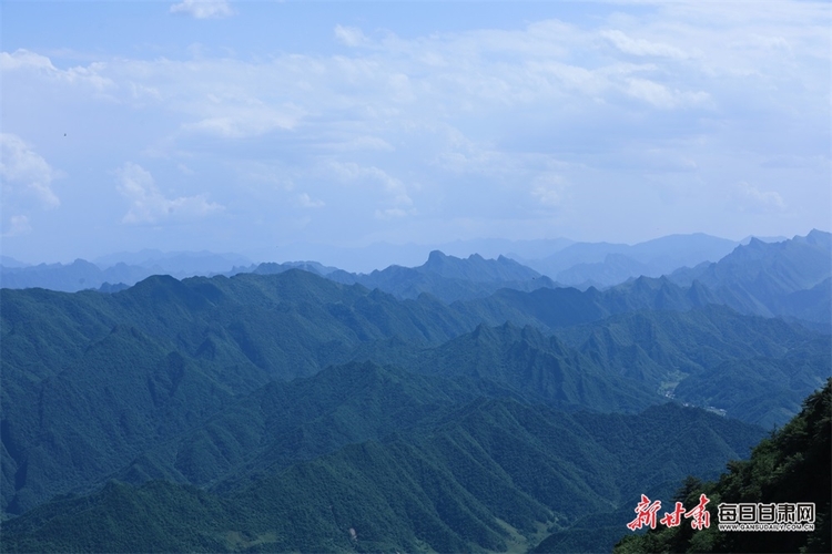 【焦点图】集华山之险和庐山之秀于一身 康县龙王山你去过吗_fororder_3