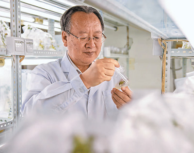 李天来几十年致力于解决北方冬季“吃鲜蔬难”——一路向北的“棚菜人生”