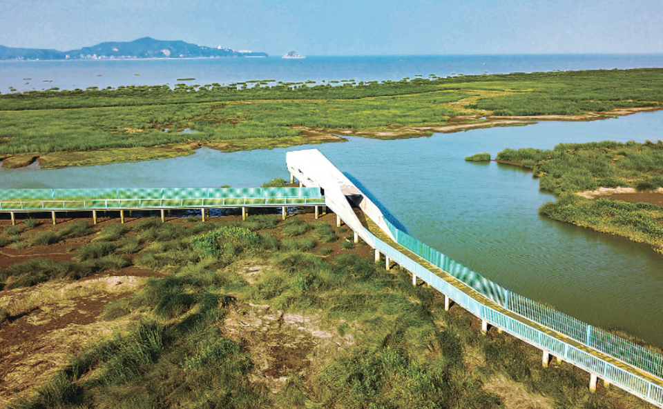 闽江口：湿地重生　万鸟翔集_fororder_截图20220621092728