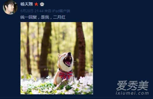 图片默认标题