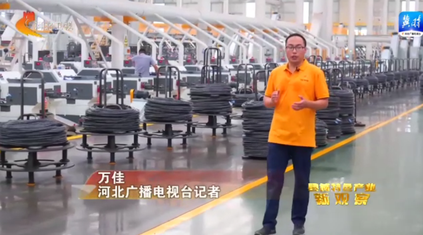 永年：政府引导解难题 企业转型上台阶