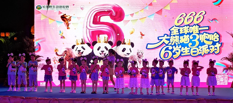 全球唯一大熊猫三胞胎萌帅酷喜迎6周岁生日_fororder_9