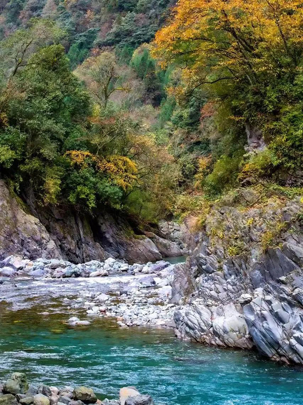 好山好水好凉快｜雅安：魅力芦山 清凉度夏_fororder_大川河景区美景-供图-芦山县融媒体中心（1）