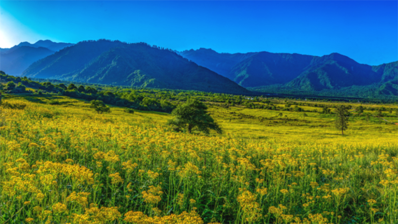 好山好水好凉快｜雅安孟获城景区——避暑好去处_fororder_孟获城美景-供图--石棉县融媒体中心（1）