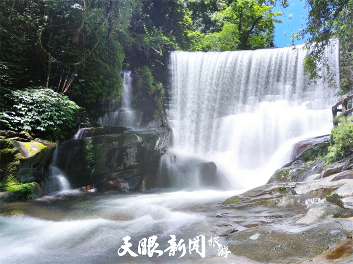 大自然中的奇妙课堂——走进贵州佛顶山自然教育基地