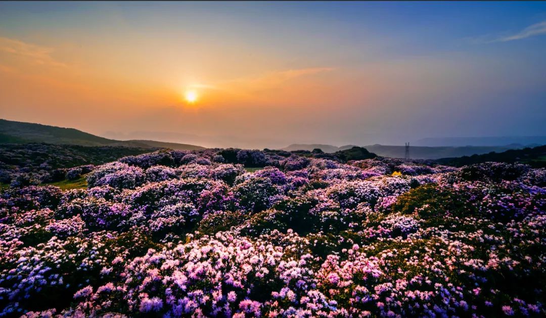 乌蒙大草原：春赏花夏踏草 秋观“佛光”冬滑雪
