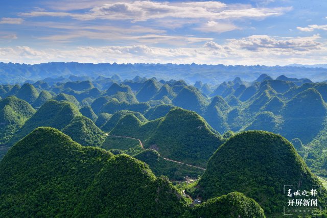 云南罗平岩溶大地上的生物多样性之美
