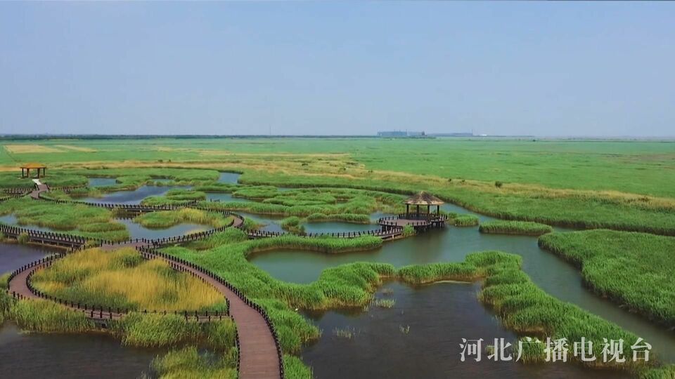 【视频集】微游河北 | 走，去大自然，深呼吸！