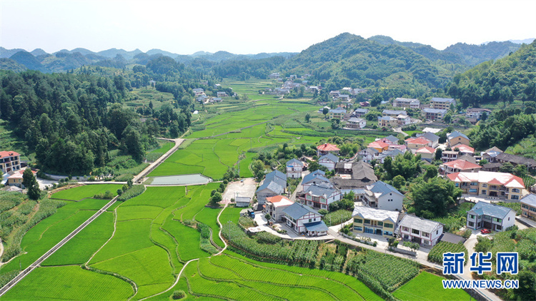 在希望的田野上丨航拍贵州花茂村 乡村振兴绘新卷