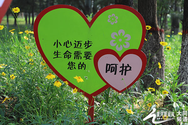 大同文瀛湖生态公园：优化服务 市民点赞贴心