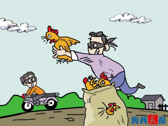 【法治 列表】【滚动新闻】【地市 厦门】男子趁夜到偏远山村专偷农村土鸡鸭 现已被抓获