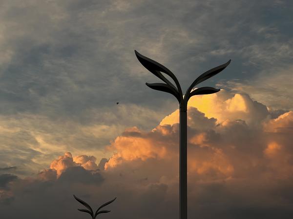 火烧云“上线” 郑州雨后天空呈现绚丽晚霞