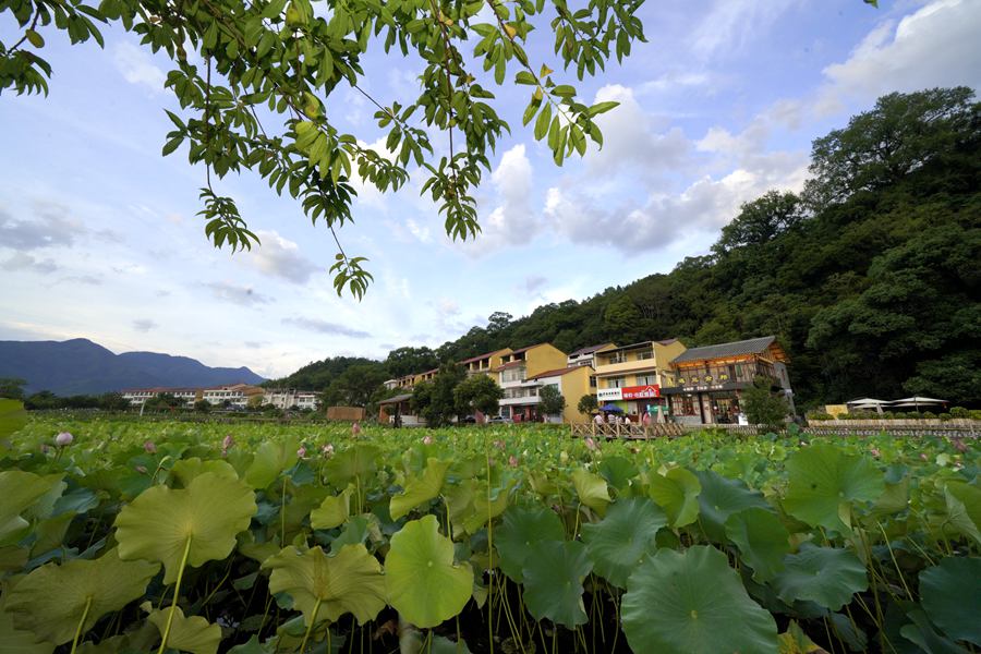 福建三明：一村一落皆是景 美丽乡村入画来