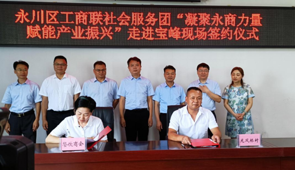 重庆永川区：凝聚永商力量 赋能产业振兴_fororder_图片1