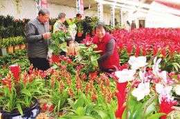 图片默认标题_fororder_m_1b7c90990a53fca6d90a589412860095