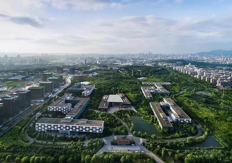 急稿（B 焦点图轮播 chinanews带图列表 移动版）全面小康·雨花答卷：花农成“码农” 花田变“硅谷”