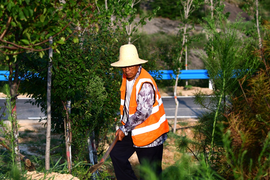 河南南阳：两年修复两万亩 荒山披绿装