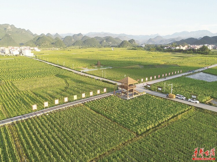 湖南宁远县：“四好农村公路” 助力乡村振兴_fororder_5