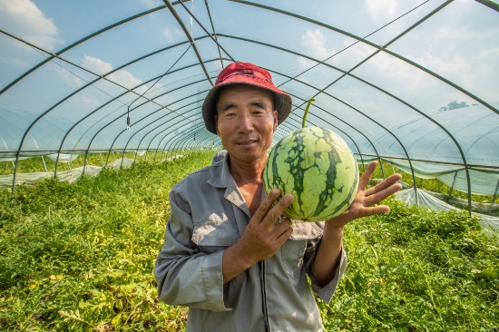 南京爱心西瓜“接力跑”用清凉致敬烈日下的劳动者_fororder_图片7