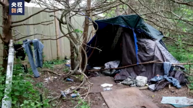 美媒揭露美国移民悲惨现状：为富人打工 却住肮脏营地