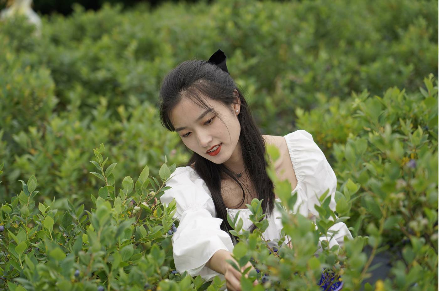 暑期来临 花都里贵州之巅星空营地露营采摘两不误