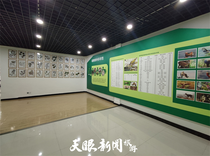 大自然中的奇妙课堂——走进贵州佛顶山自然教育基地