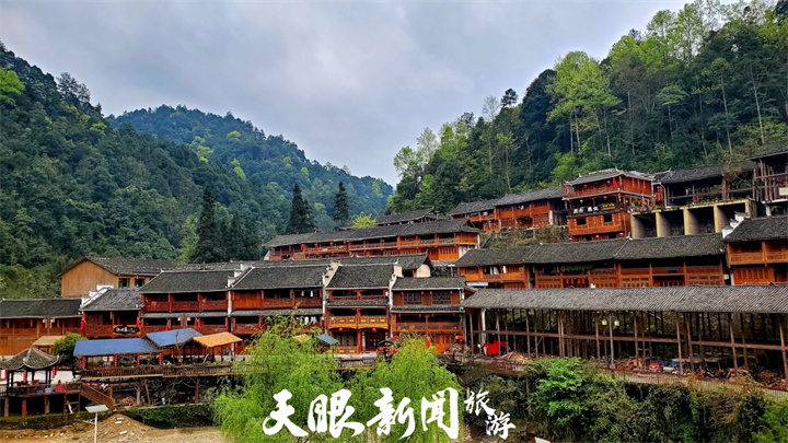 大自然中的奇妙课堂——走进贵州佛顶山自然教育基地