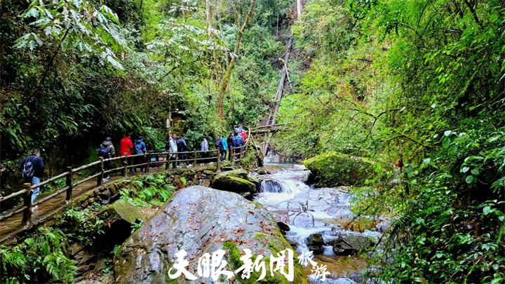 大自然中的奇妙课堂——走进贵州佛顶山自然教育基地
