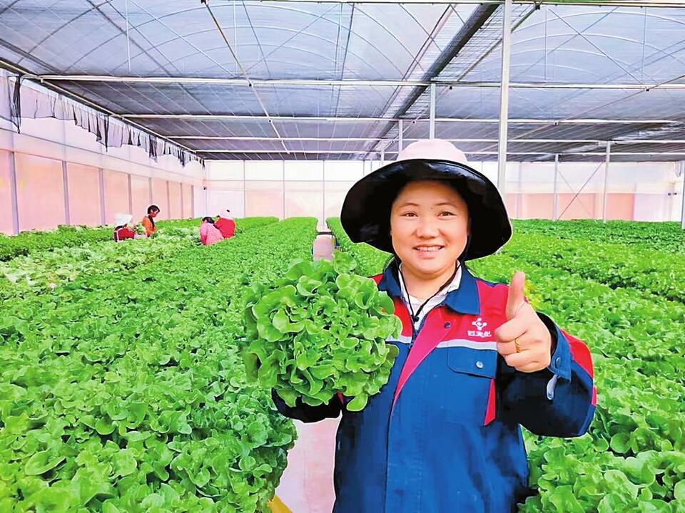 粤港澳大湾区吃上昆明晋宁菜_fororder_a5