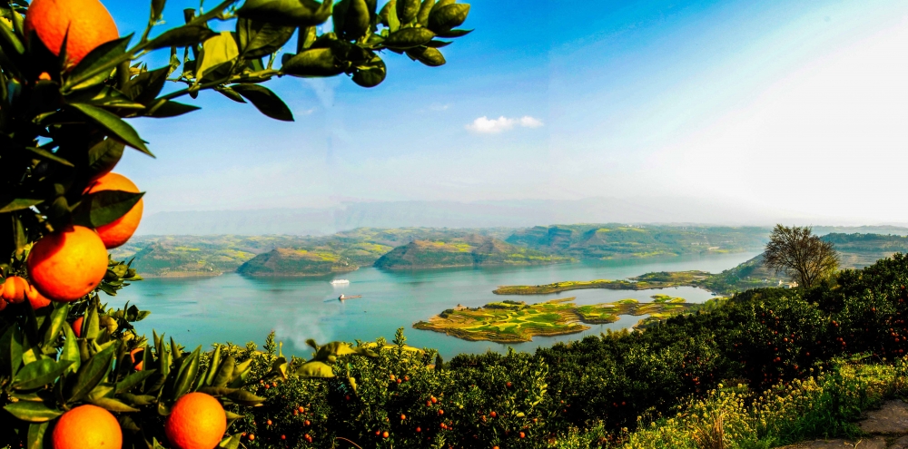 【转载】重庆：“三峡库心·长江盆景”摄影大赛结果出炉