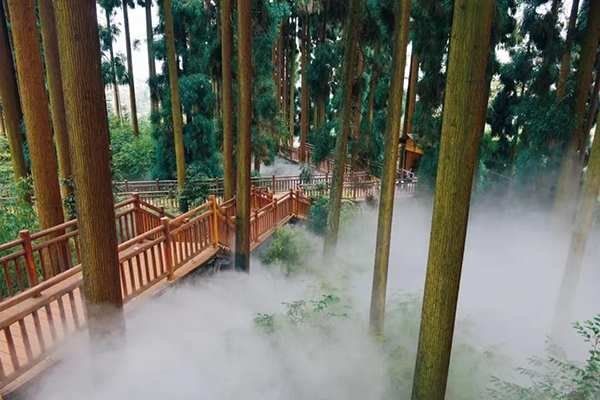 好山好水好凉快｜眉山洪雅七里坪：与繁花作伴 感受森林的呼吸_fororder_七里坪美景-供图-洪雅县委宣传部