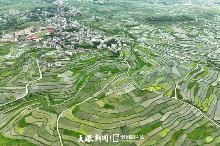 （中首）贵阳花溪高坡：云里山间秀诗行