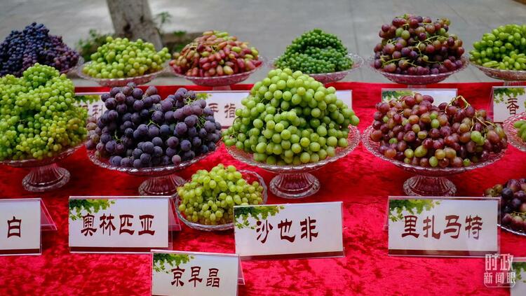 时政新闻眼丨习近平考察吐鲁番，关注了哪些独特之处？
