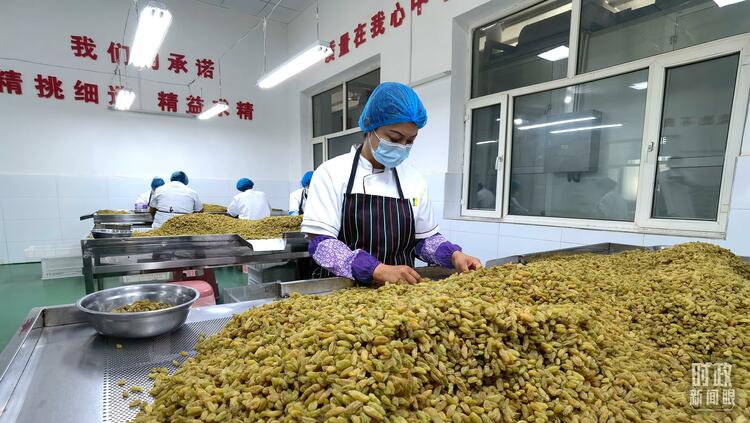 时政新闻眼丨习近平考察吐鲁番，关注了哪些独特之处？