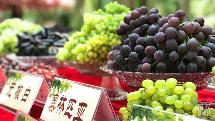 时政新闻眼丨习近平考察吐鲁番，关注了哪些独特之处？