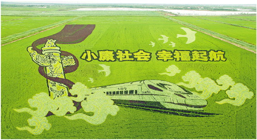 盐碱地变身“网红”稻田画_fororder_小康