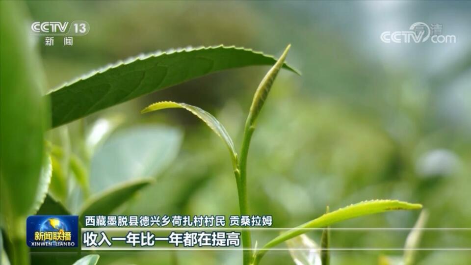 【奋进新征程 建功新时代·非凡十年】谱写雪域高原高质量发展新篇章