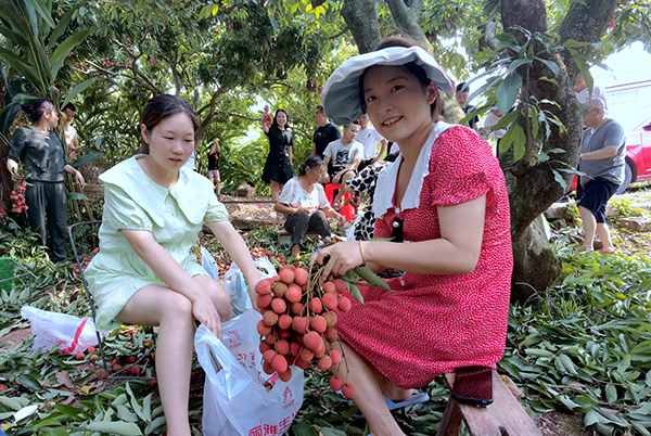 宜宾叙州区：第九届·川南荔枝文化节在樟海镇开幕_fororder_采摘现场-摄影-何芳