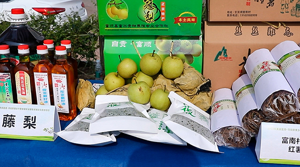 自贡富顺：首届安溪藤梨采摘文化旅游活动举行_fororder_3特色农产品