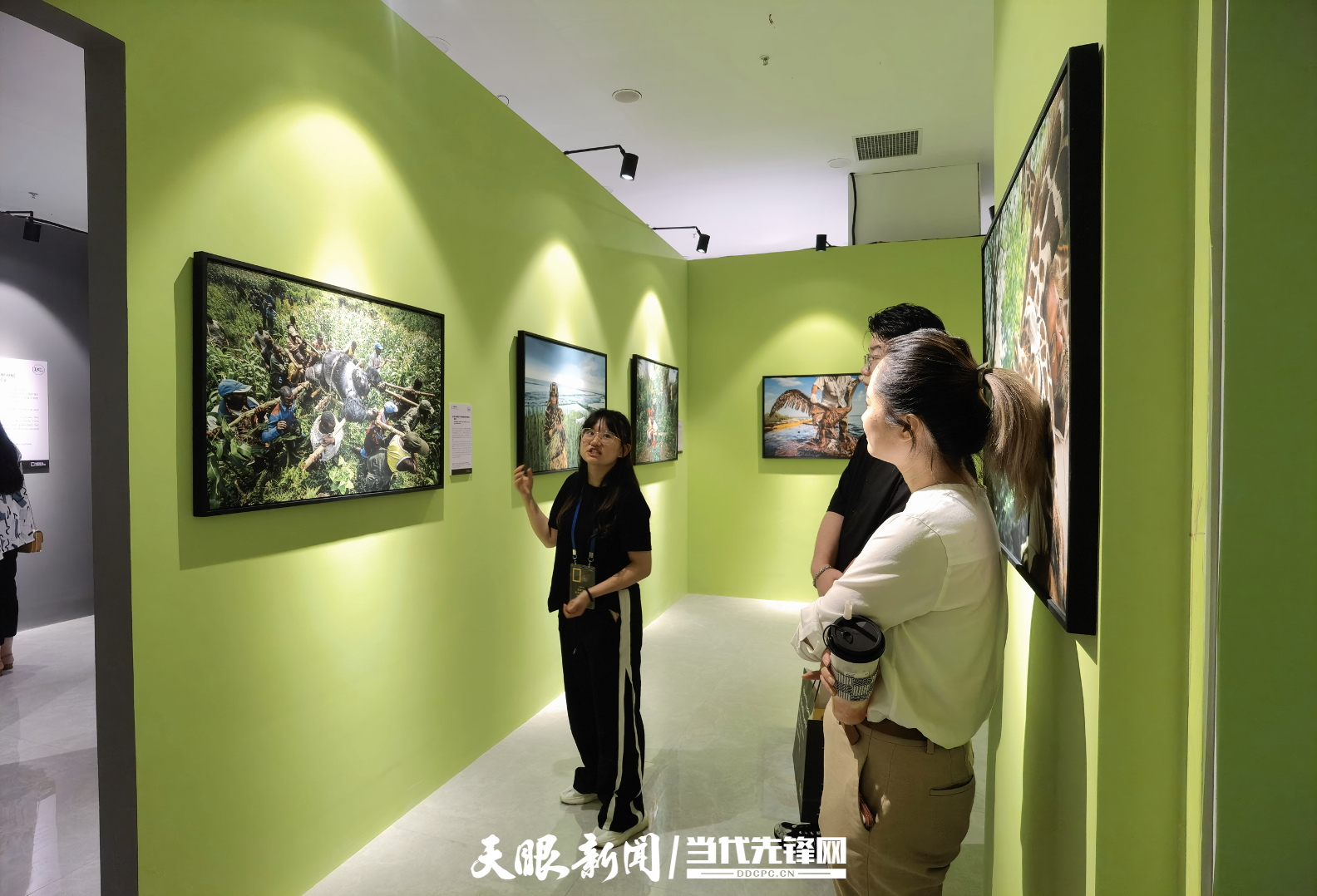 （中首）在贵阳看世界 国家地理经典影像大展登陆贵州！