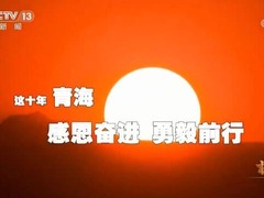 【奋进新征程 建功新时代·非凡十年】青海_fororder_QQ截图20220808113031