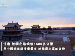 【奋进新征程 建功新时代·非凡十年】甘肃_fororder_QQ截图20220808112809