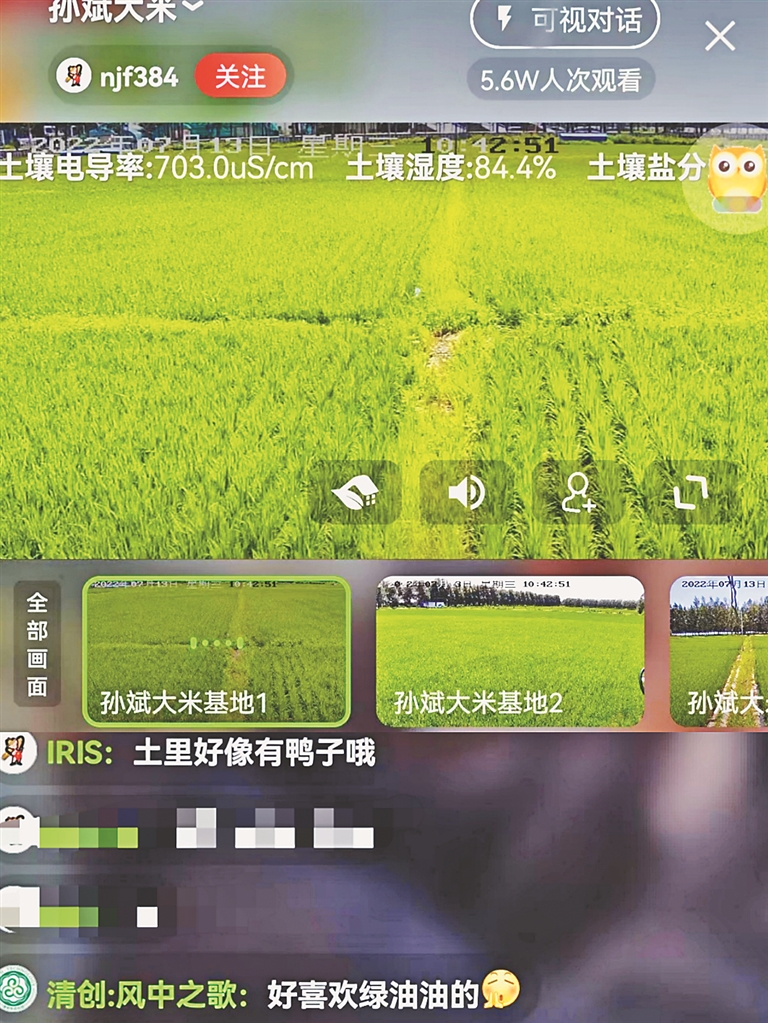 线上围观智慧农业 5万网友直呼“云种稻过瘾”