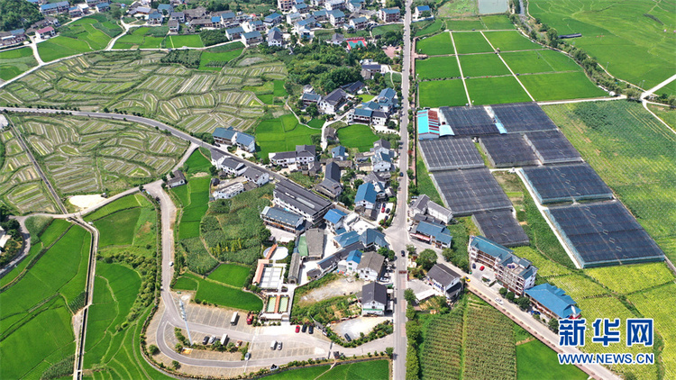 在希望的田野上丨航拍贵州花茂村 乡村振兴绘新卷