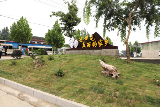 山东枣庄：峄城区底阁镇扎实推进全国文明城市创建