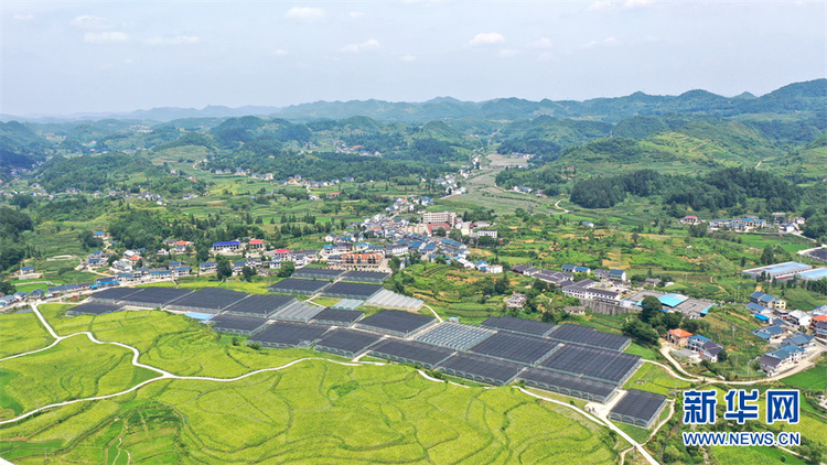 在希望的田野上丨航拍贵州花茂村 乡村振兴绘新卷