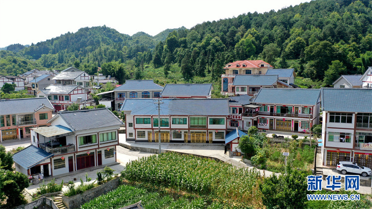 在希望的田野上丨航拍贵州花茂村 乡村振兴绘新卷