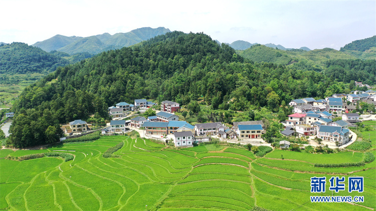 在希望的田野上丨航拍贵州花茂村 乡村振兴绘新卷